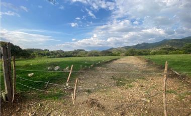 Lotes desde 1.500m2 hasta 2.540m2 en venta La Buitrera Palmira Valle