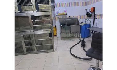 Se Alquila Local Comercial en Punta Paitilla