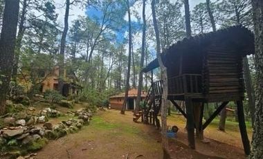 VENTA CABAÑA EN TAPALPA