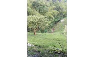 SE VENDE HERMOSA FINCA DE RECREO VIA A ARMENIA