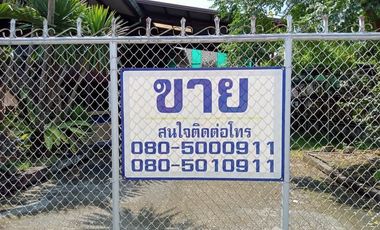 2 Bedroom House for sale in Ban Du, Chiang Rai