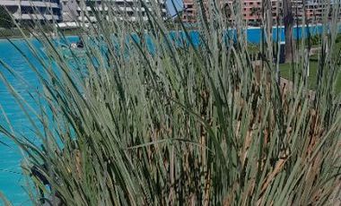 Departamento venta pozo de 1 dormitorio c/ cochera en Lagoon Pilar