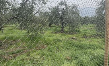 Parcela en Venta en Calle Santa Filomena Comuna Santa Maria Jahuel