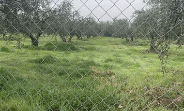 Parcela en Venta en Calle Santa Filomena Comuna Santa Maria Jahuel