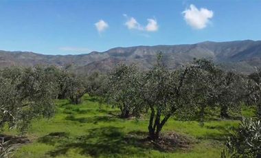 Parcela en Venta en Calle Santa Filomena Comuna Santa Maria Jahuel