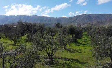 Parcela en Venta en Calle Santa Filomena Comuna Santa Maria Jahuel