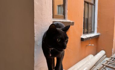 Se vende edificio en el centro Vizcaínas