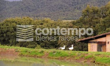 Venta Loft, Club Hípico Los Monteros, Jilotzingo, Estado de México