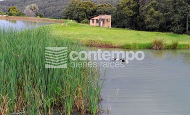 Venta Loft, Club Hípico Los Monteros, Jilotzingo, Estado de México