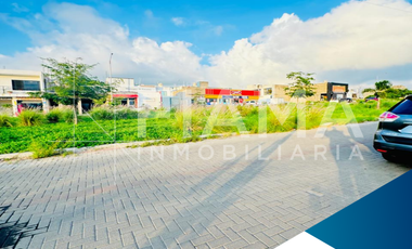 TERRENOS EN RENTA COL. LOMAS DEL ENCANTO (EU)