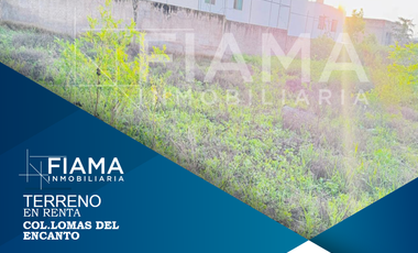 TERRENOS EN RENTA COL. LOMAS DEL ENCANTO (EU)