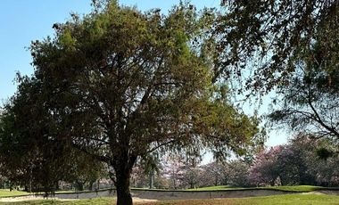 Departamento en venta en Club de Golf Paraíso, Cuernavaca Morelos