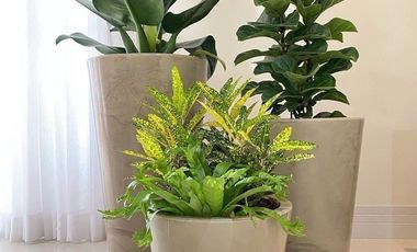 Casa En Venta,  Estilo Modernista ubicada en Tlalnepantla Cod. ZV1392