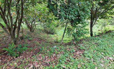 VENTA FINCA EN MESITAS DEL COLEGIO