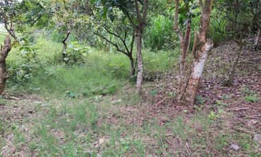 VENTA FINCA EN MESITAS DEL COLEGIO