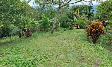VENTA FINCA EN MESITAS DEL COLEGIO