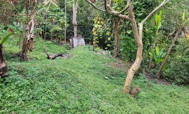 VENTA FINCA EN MESITAS DEL COLEGIO