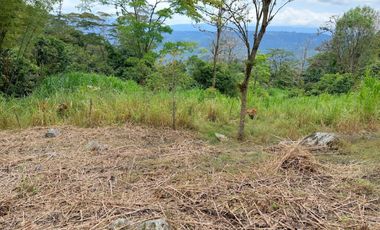 VENTA FINCA EN MESITAS DEL COLEGIO