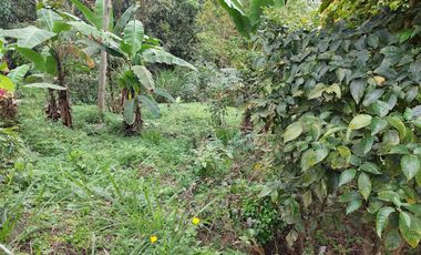 VENTA FINCA EN MESITAS DEL COLEGIO