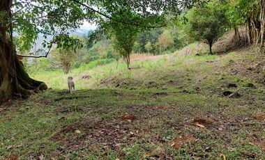 VENTA FINCA EN MESITAS DEL COLEGIO