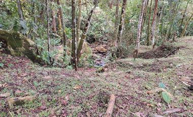 VENTA FINCA EN MESITAS DEL COLEGIO