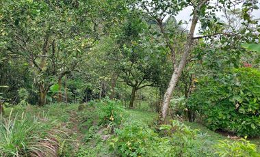 VENTA FINCA EN MESITAS DEL COLEGIO