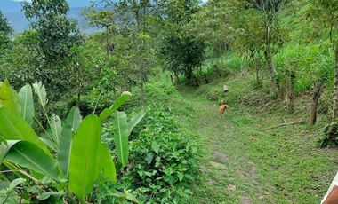 VENTA FINCA EN MESITAS DEL COLEGIO