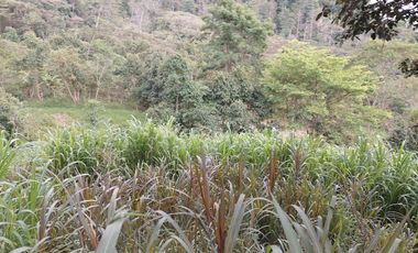 VENTA FINCA EN MESITAS DEL COLEGIO