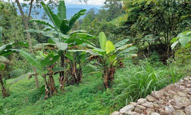 VENTA FINCA EN MESITAS DEL COLEGIO