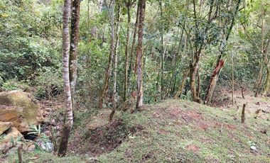VENTA FINCA EN MESITAS DEL COLEGIO