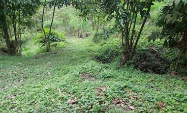 VENTA FINCA EN MESITAS DEL COLEGIO