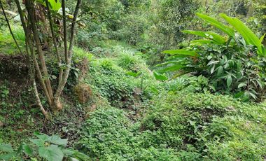 VENTA FINCA EN MESITAS DEL COLEGIO