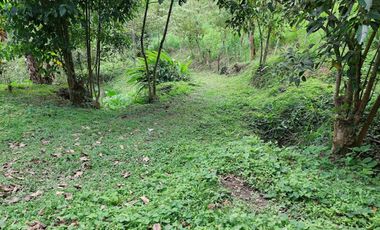 VENTA FINCA EN MESITAS DEL COLEGIO