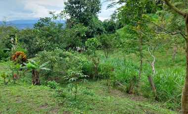 VENTA FINCA EN MESITAS DEL COLEGIO