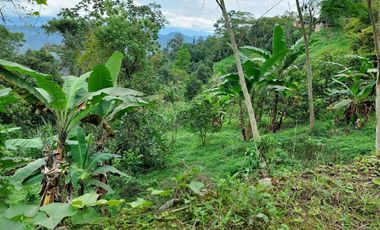 VENTA FINCA EN MESITAS DEL COLEGIO