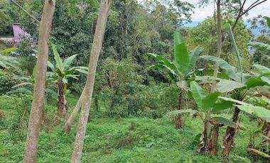 VENTA FINCA EN MESITAS DEL COLEGIO