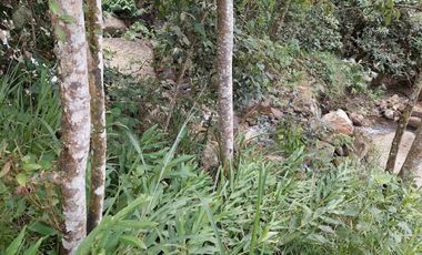 VENTA FINCA EN MESITAS DEL COLEGIO