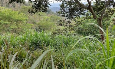 VENTA FINCA EN MESITAS DEL COLEGIO