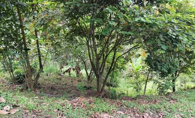 VENTA FINCA EN MESITAS DEL COLEGIO