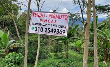 VENTA FINCA EN MESITAS DEL COLEGIO