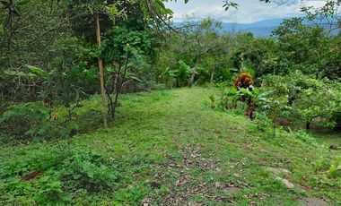 VENTA FINCA EN MESITAS DEL COLEGIO
