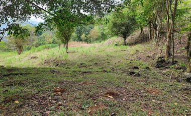 VENTA FINCA EN MESITAS DEL COLEGIO