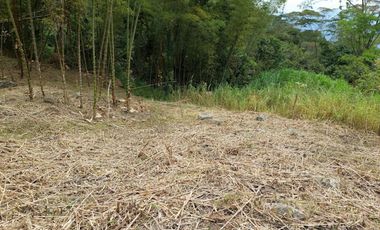 VENTA FINCA EN MESITAS DEL COLEGIO