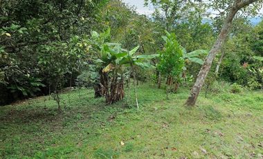 VENTA FINCA EN MESITAS DEL COLEGIO