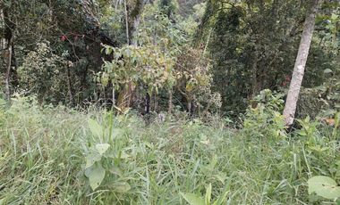 VENTA FINCA EN MESITAS DEL COLEGIO