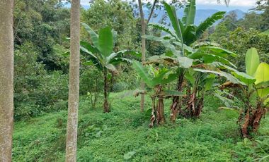 VENTA FINCA EN MESITAS DEL COLEGIO