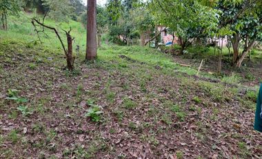VENTA FINCA EN MESITAS DEL COLEGIO