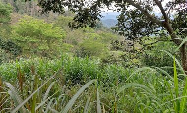 VENTA FINCA EN MESITAS DEL COLEGIO