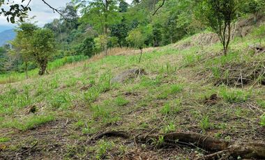 VENTA FINCA EN MESITAS DEL COLEGIO