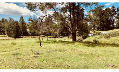 Venta Espectacular Lote Semiplano Parcelar Alto Palmas Plano